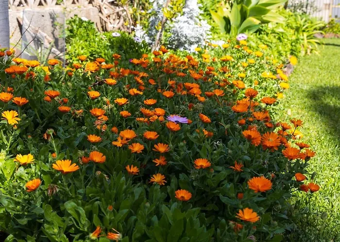 Infinity View * La Matanza de Acentejo